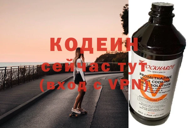 гидра Няндома